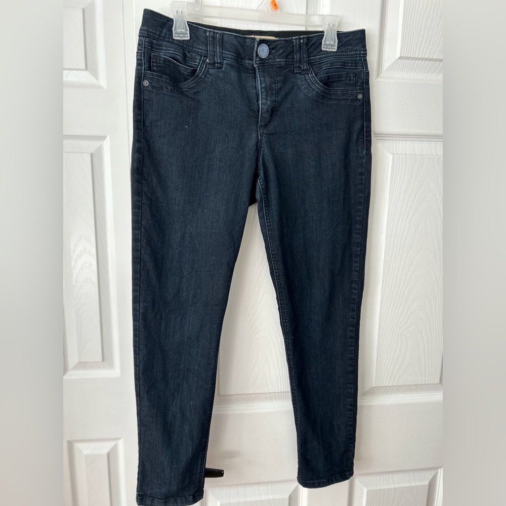 Ab Democracy dark wash skinny jeans